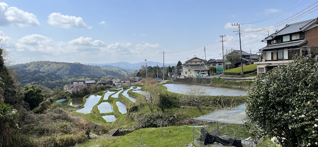 Terraced rice paddies in the Ishidera district of Wazuka.