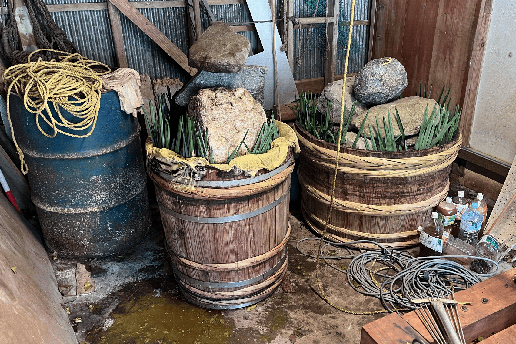 Once boiling and rolling is done, leaves are compacted in barrels bit by bit. Finally closed by places some rock to avoid exposing it to oxygen during fermentation.