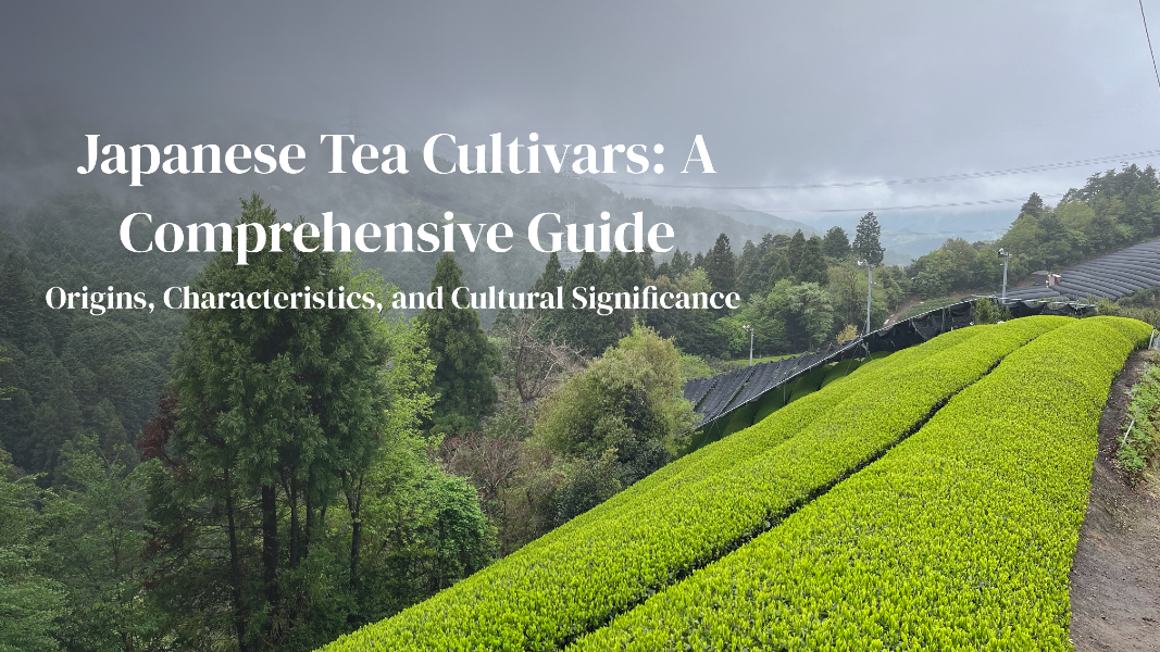 Japanese Tea Cultivars: A Comprehensive Guide