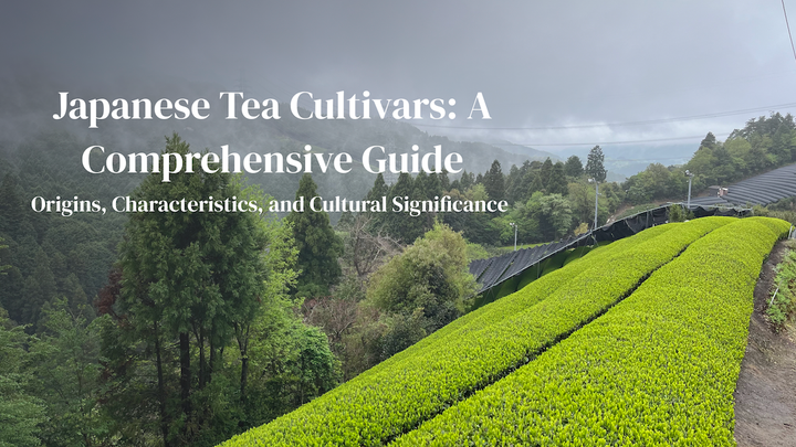 Tea Nursery Introduces Japanese Tea Cultivars: A Comprehensive Guide