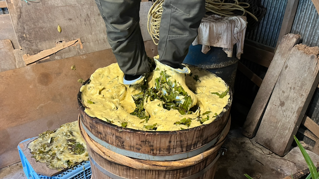 T.N.T 6: Making Awabancha