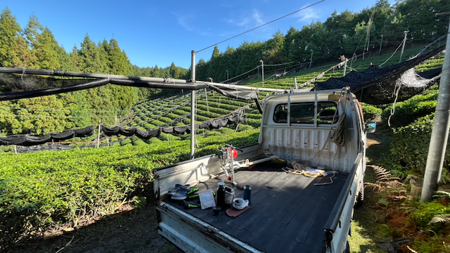 T.N.T 7: Pre-State of the Nursery 2025