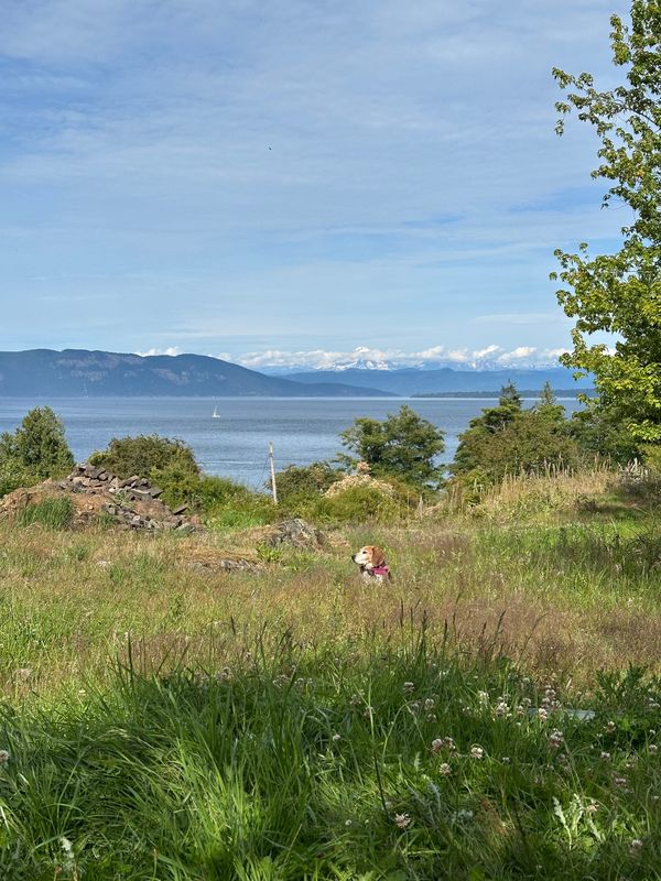 Acclimating To The Simulation