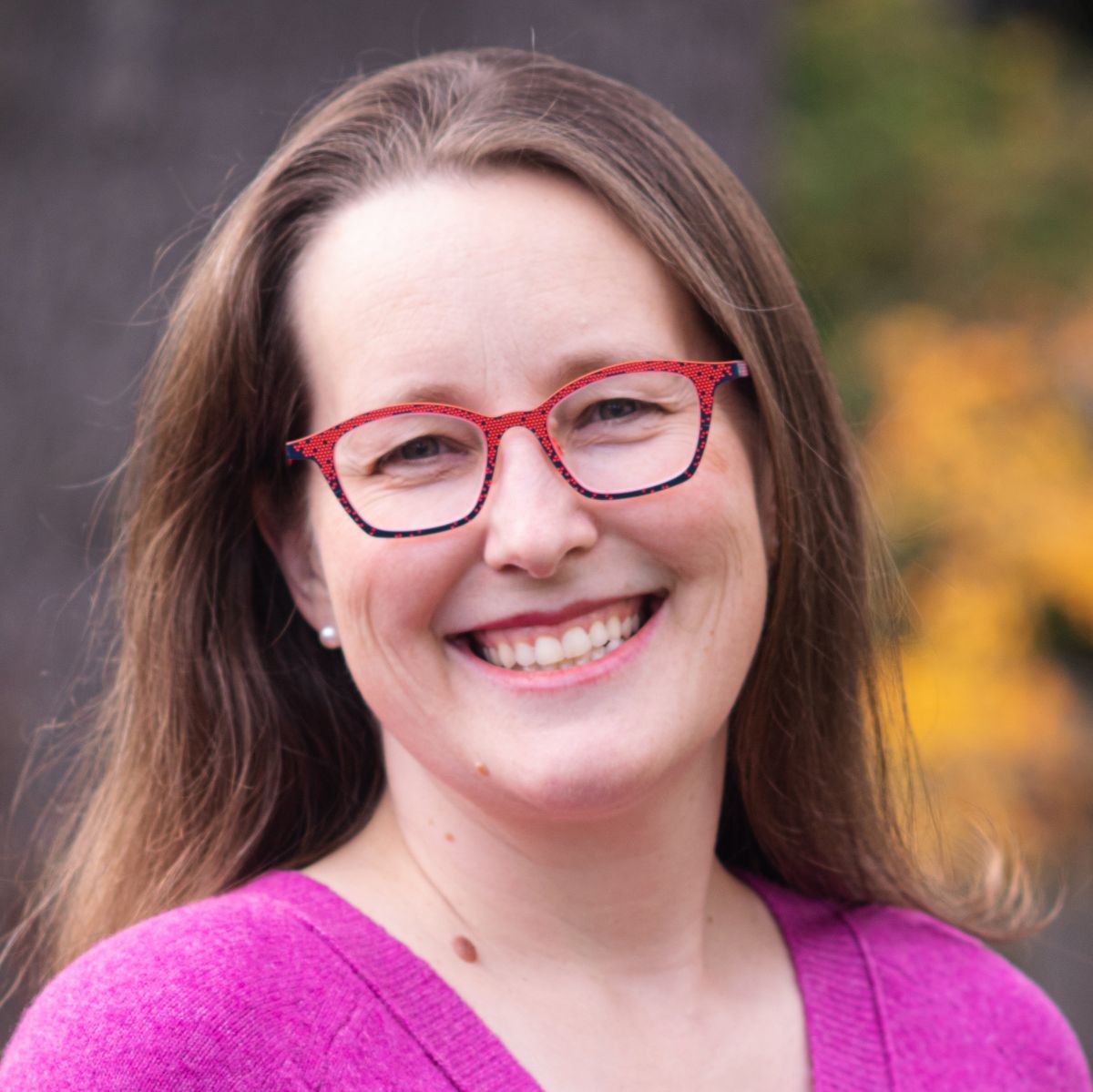 Melissa Taylor, Candidate for 46th LD State Representative