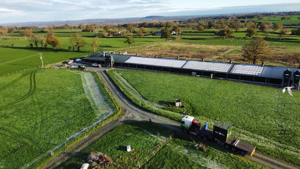 Keeping 32,000 Chickens Safe: How Wattbox Transformed a Shropshire Farm