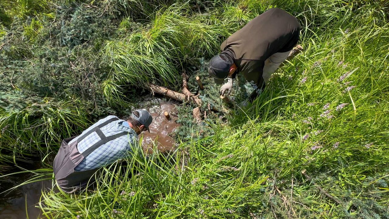 How to Scale Up Ecological Restoration on America's Public Lands