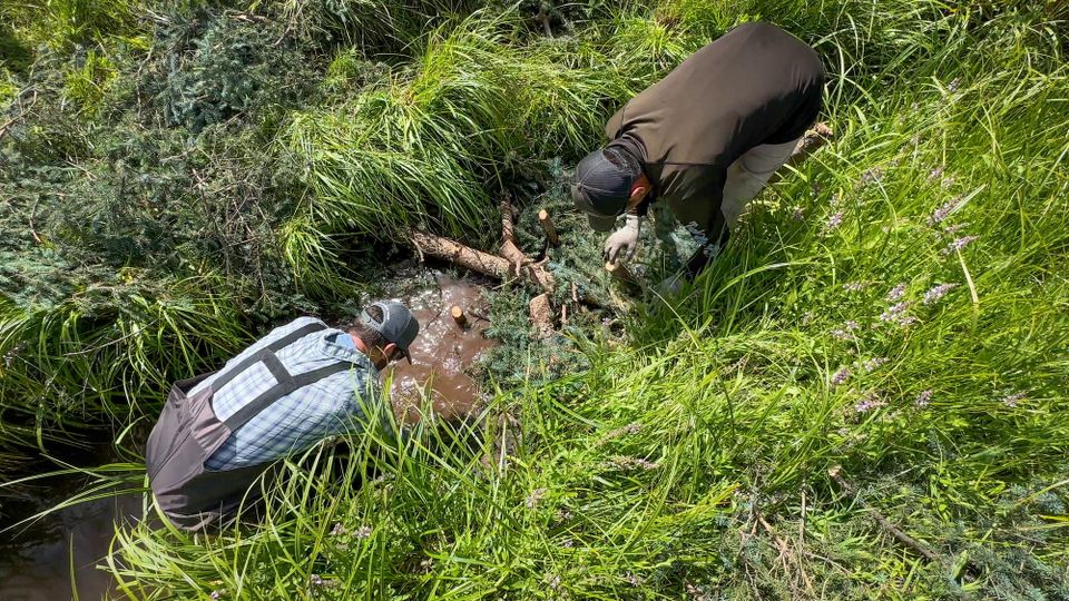 How to Scale Up Ecological Restoration on America's Public Lands