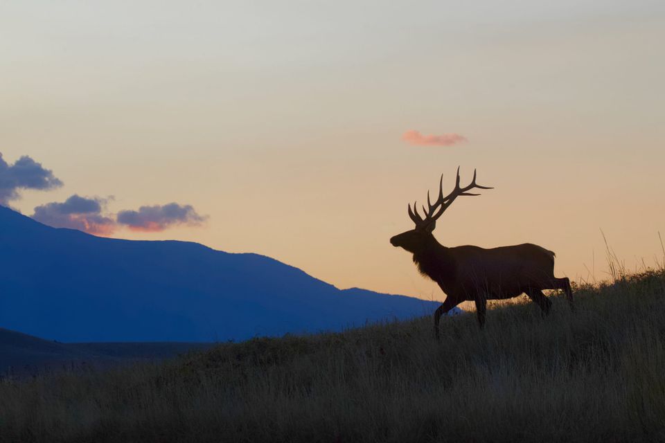 America Needs a National Conservation Mission for Public Lands and Waters