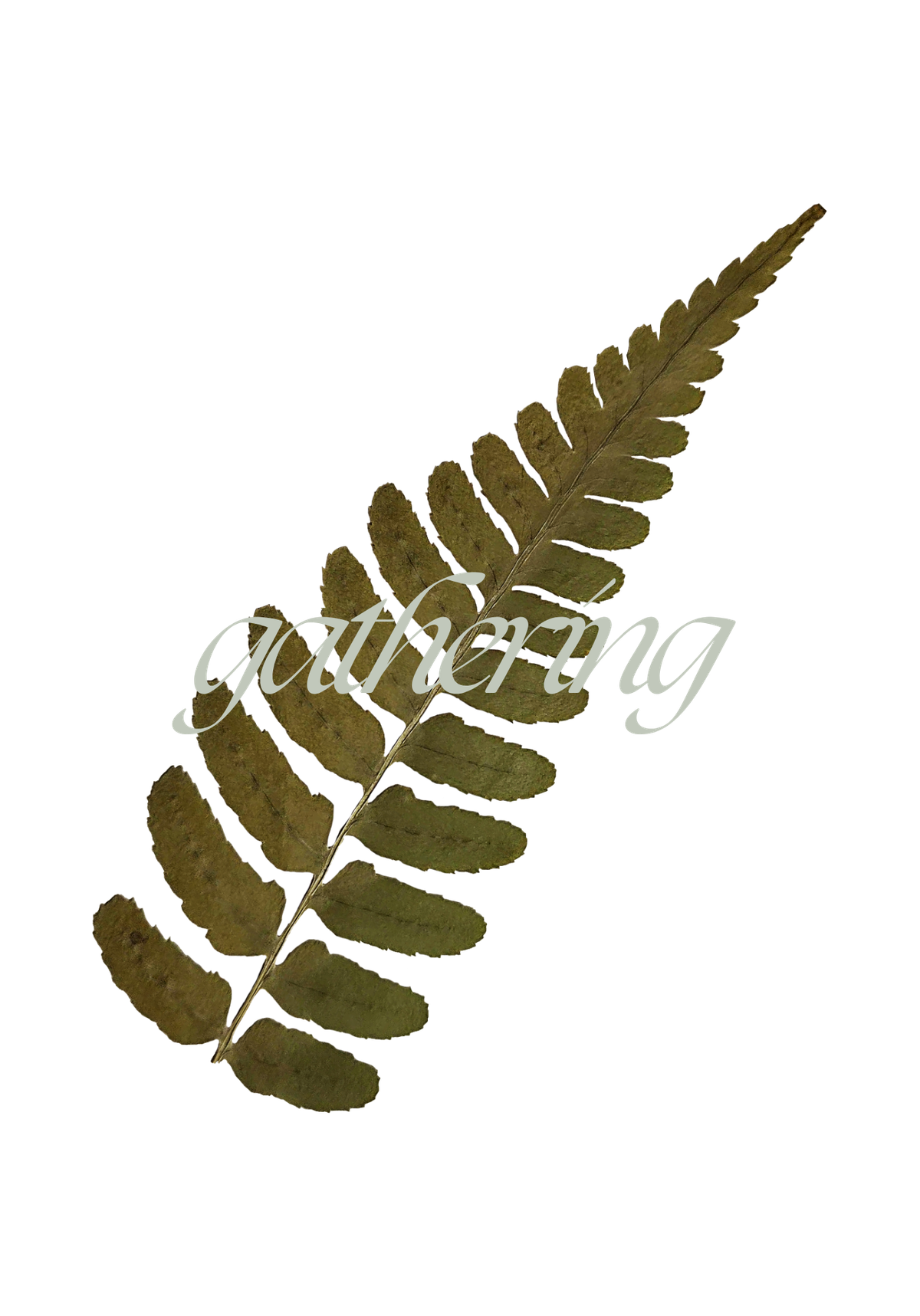 Gathering