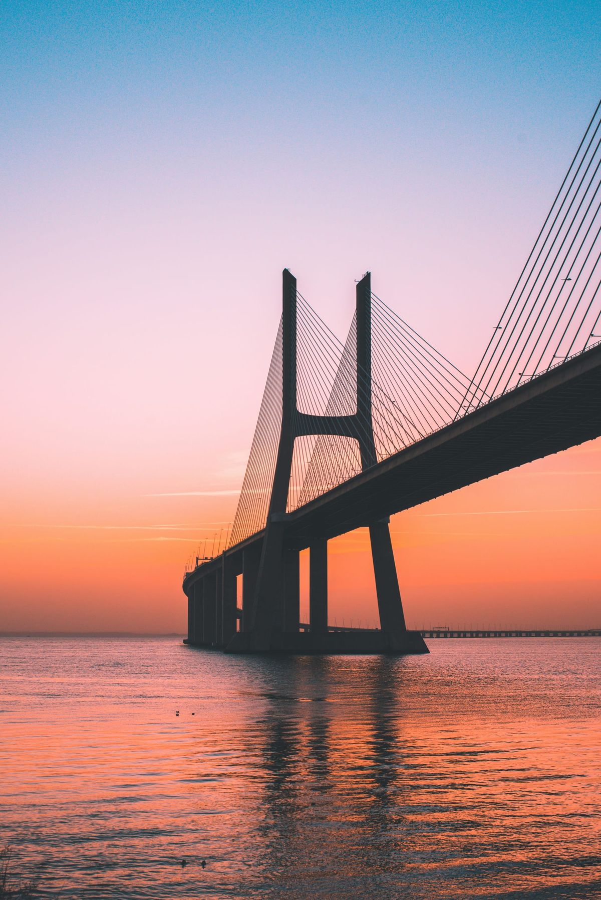 Investing for Impact