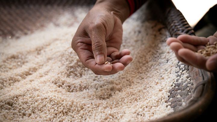 How AI is Driving Equity in Ways You May Not Have Thought About