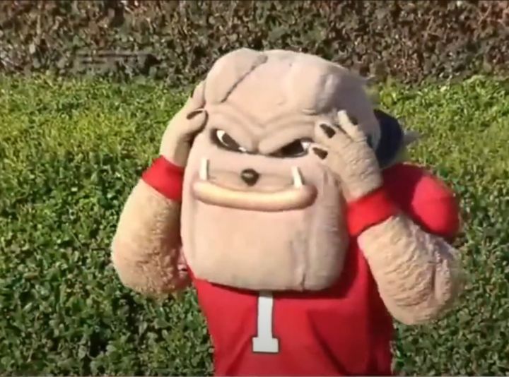 Dumb Picks of the Week: Week 9