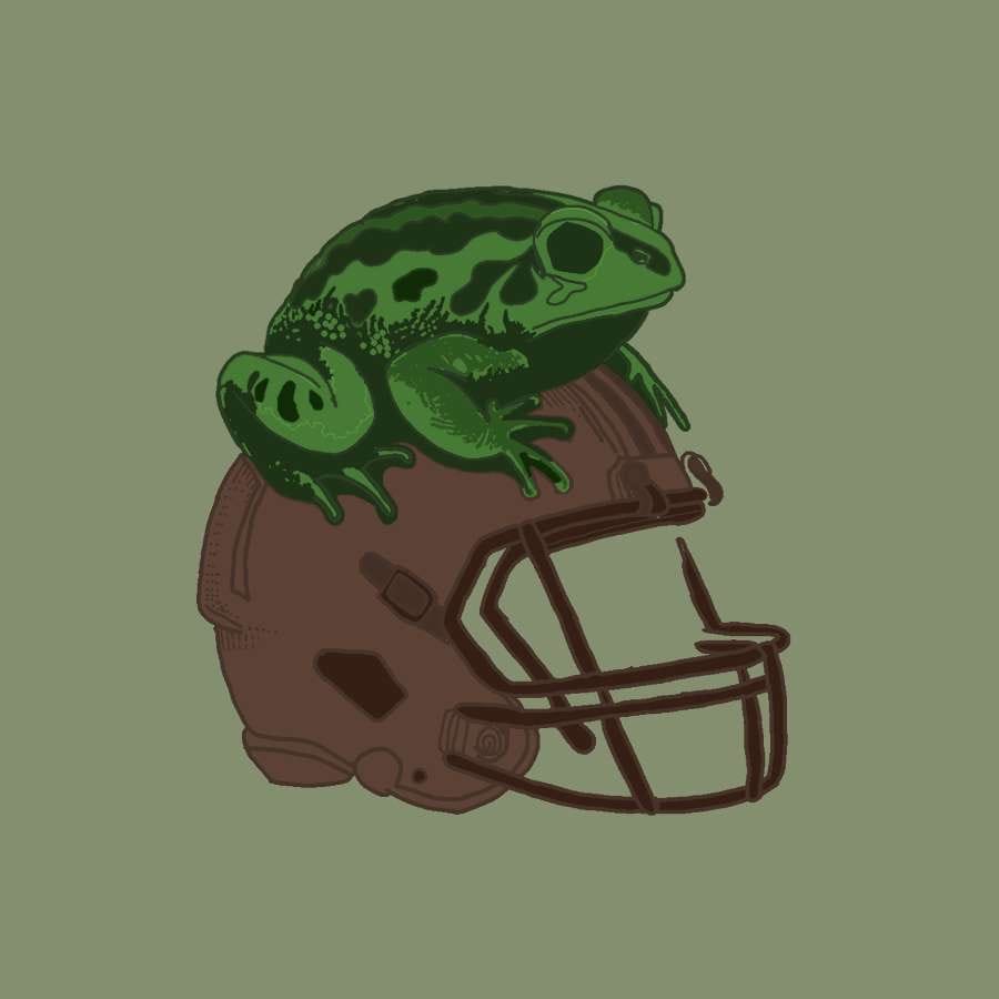 The Touchdown Toad