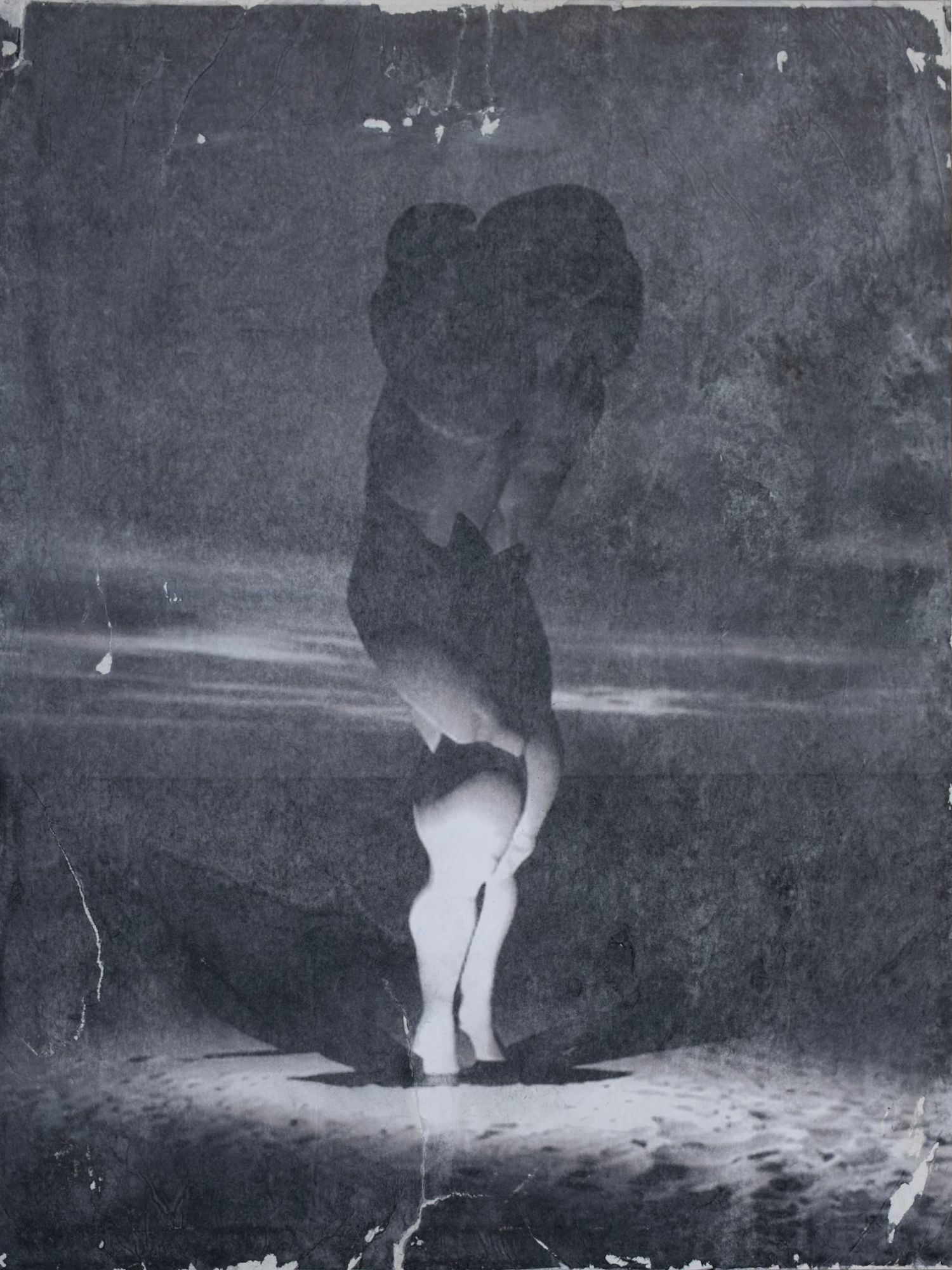 Bodies Without Organs