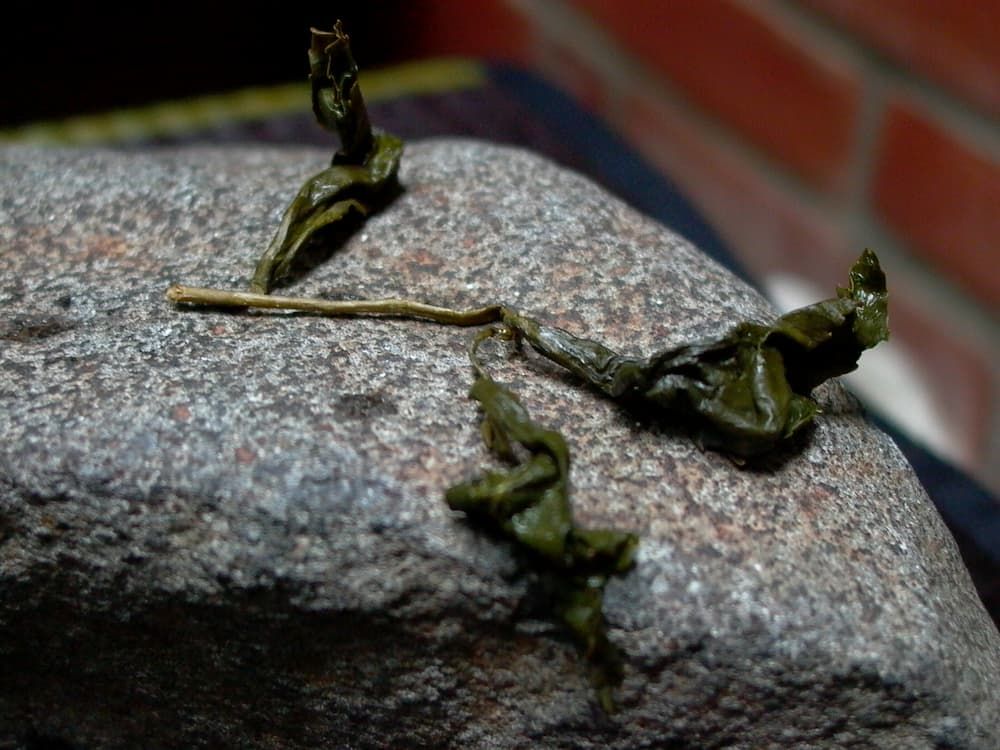 高山茶
