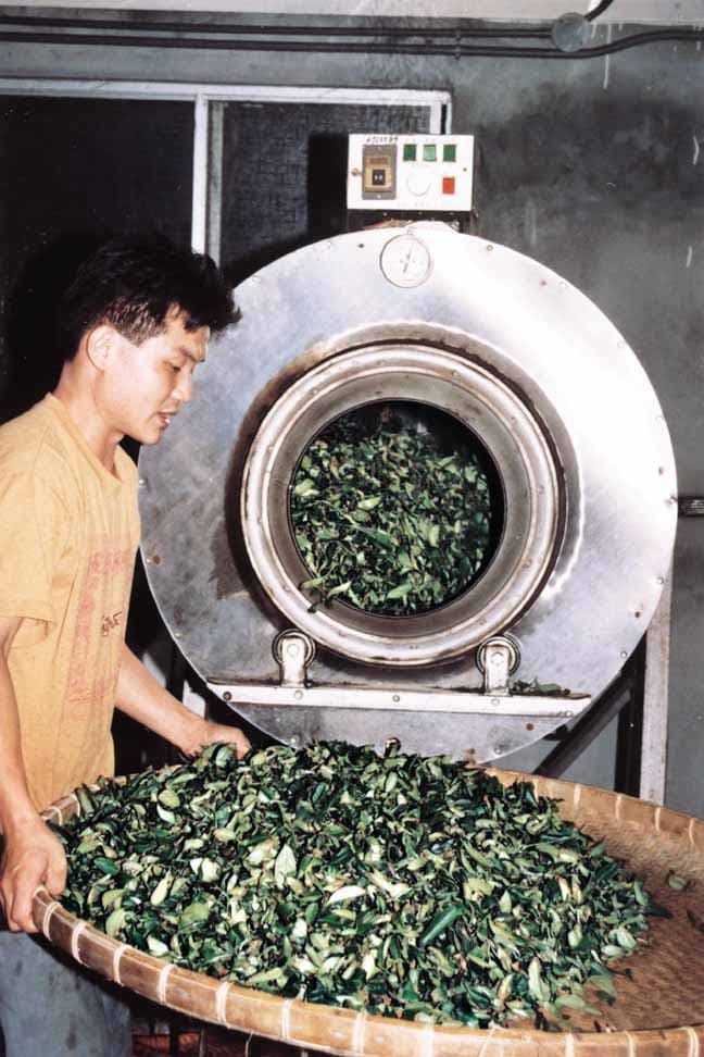 機械化製茶