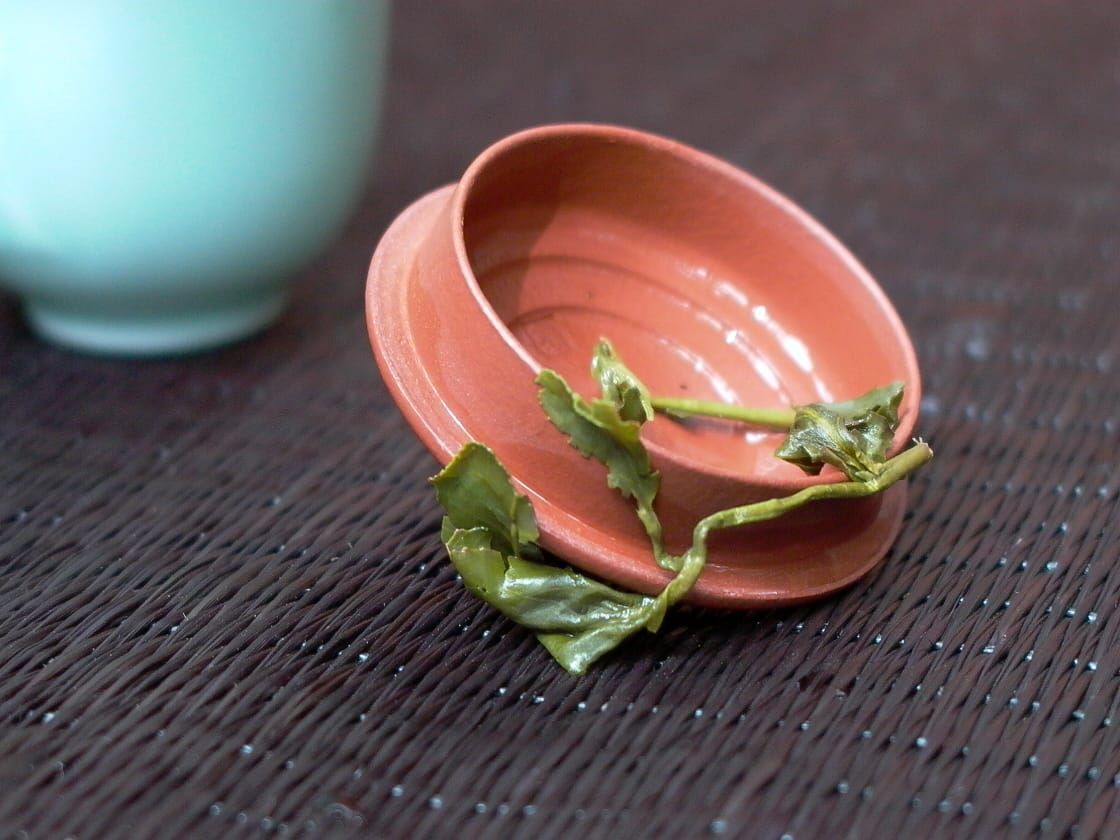 如何分辨真假高山茶