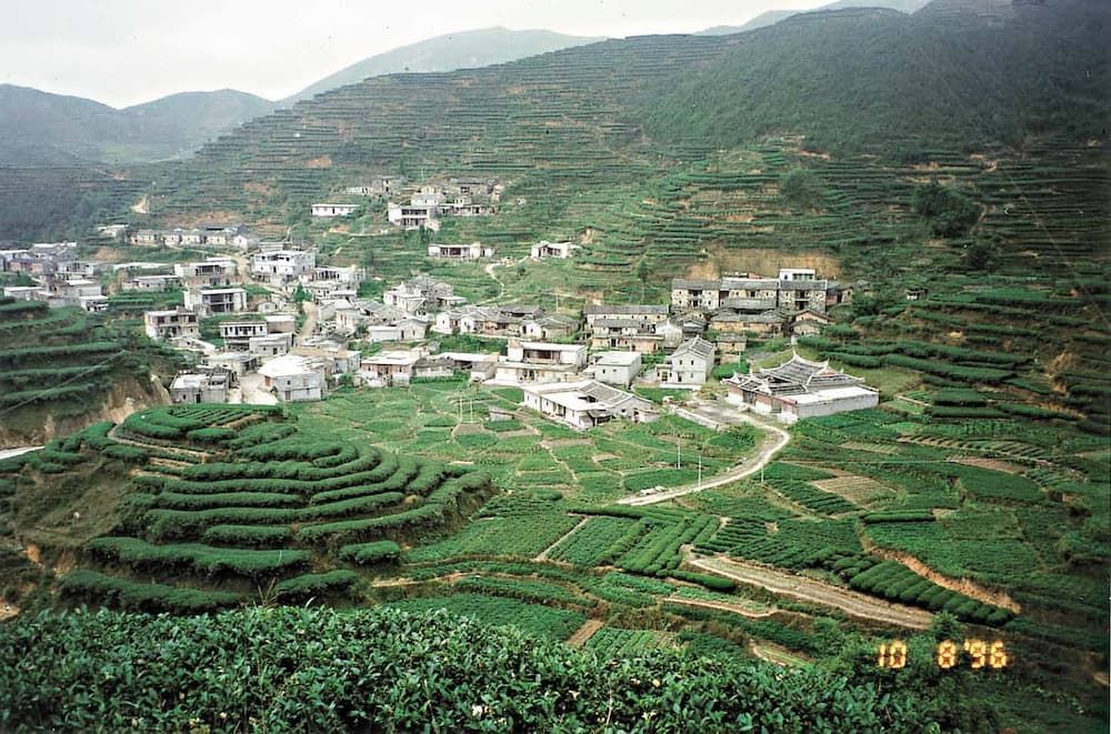 安溪土壤的秘密