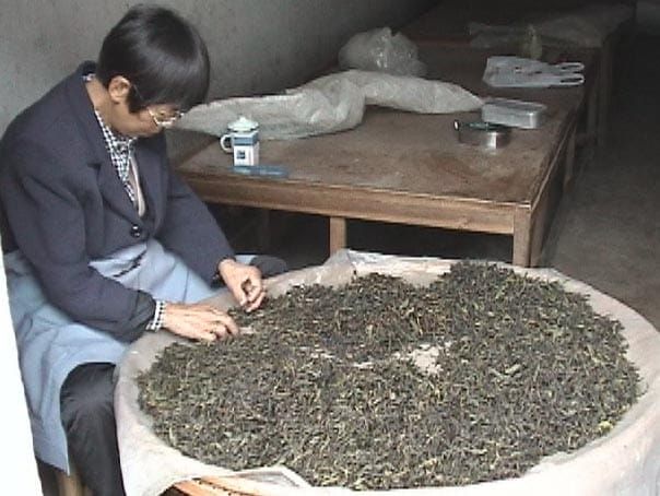武夷紅茶