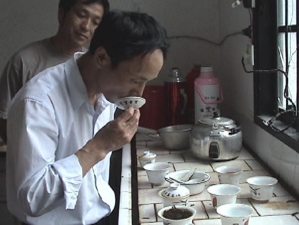 武夷岩茶