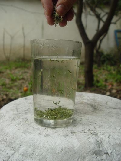 碧螺春茶食搭配法則：酸甜澀度平衡的品茗美學