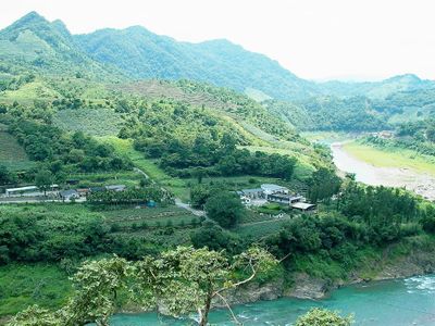 文山包種茶常見誤解