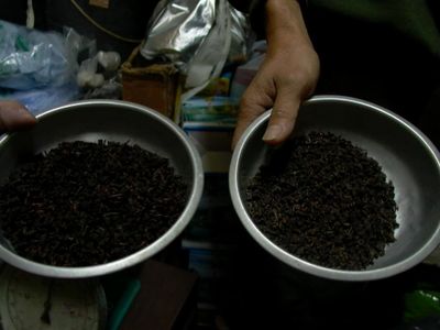 高山茶