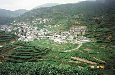 安溪土壤的秘密