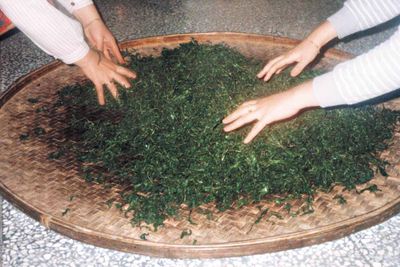 做青技術