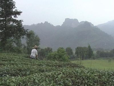 開山