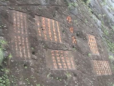 武夷茶