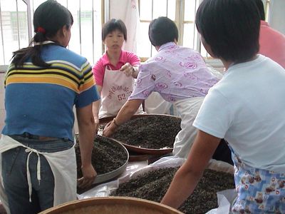 武夷岩茶