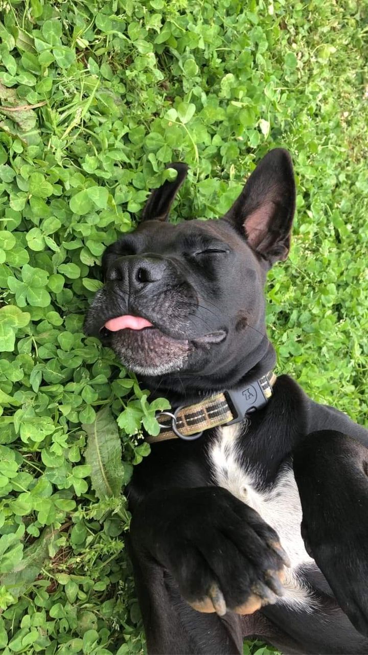 Stories- AND Book Reviews in Exchange for Free Advertising