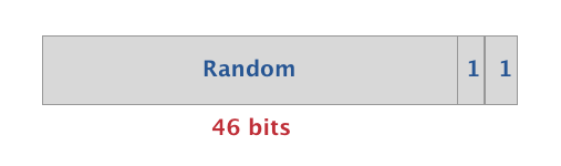 Random Static Address format