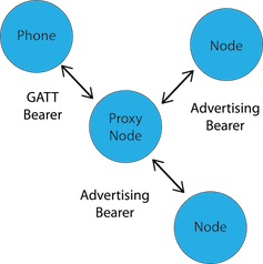 Proxy Node