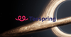 Teespring (Spring)