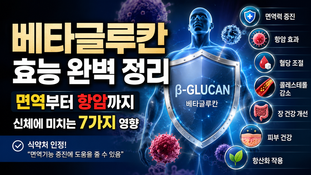 베타글루칸 효능 완벽 정리: 면역부터 항암까지 신체에 미치는 7가지 영향