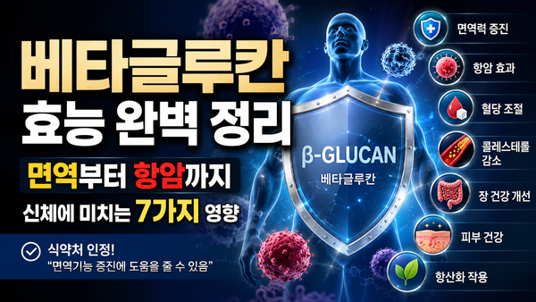 베타글루칸 효능 완벽 정리: 면역부터 항암까지 신체에 미치는 7가지 영향