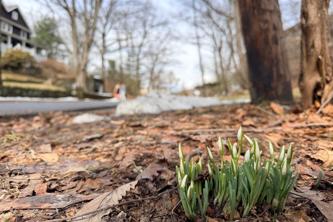 Spring is Calling | A Pelvic Bowl Sweep for Pelvic Floor Care