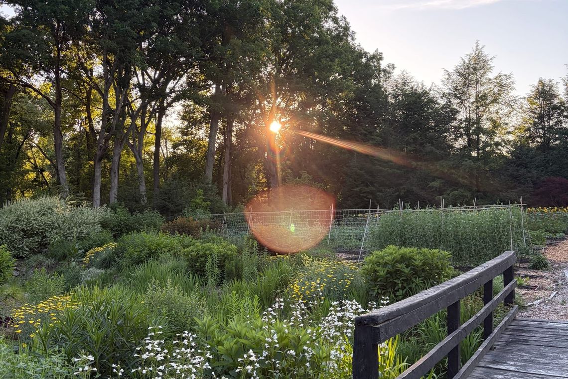 Sound Bath in the Garden | August 13, 2026 | Bedford Farms, NY
