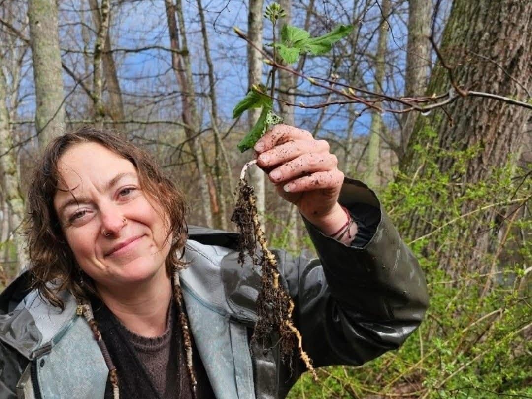 Woman with damp brown hair pulling out a plant by the roots in a wooded area