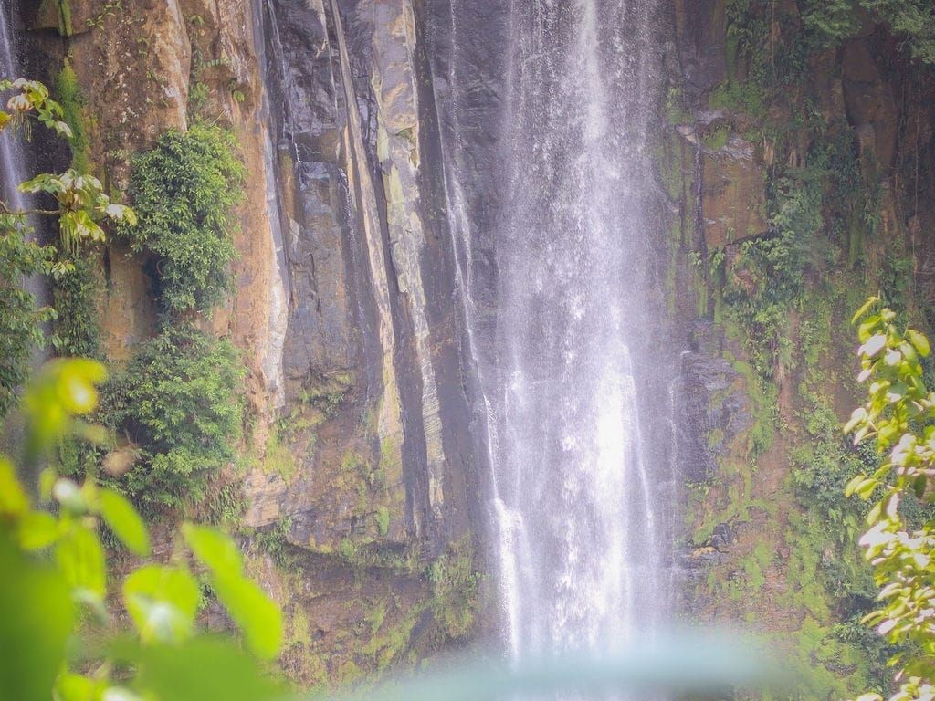 Sacred Body Retreat: The Temple Within | Costa Rica | Aug 24–29, 2026