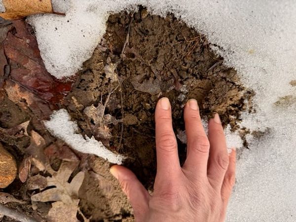 Sarah runs her fingers through the mud as ice recedes on the trail