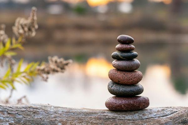 Zen Movement Workshop | Hastings on Hudson, NY | April 19, 2026