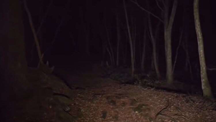 AFTER THE CORONATION