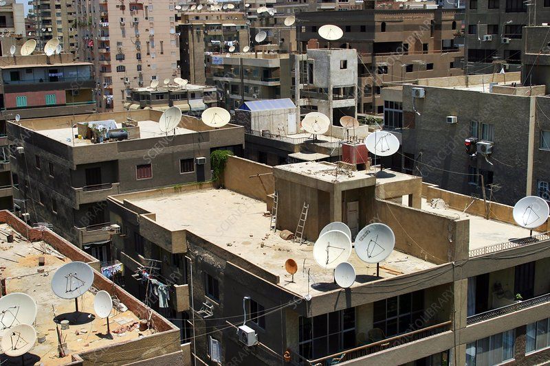 I HAVE AN ILLEGAL AVIARY