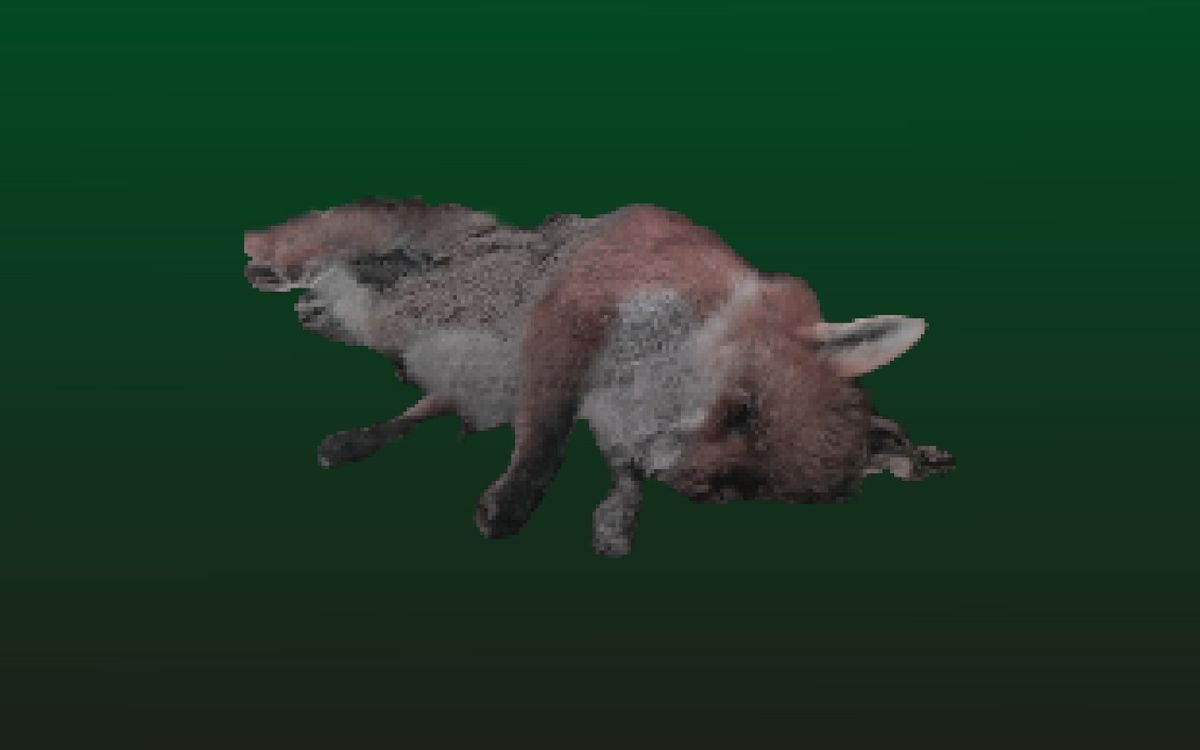 A COLONY OF MAGGOTS BUILDING A FOX THROUGH CAREFUL EFFORT