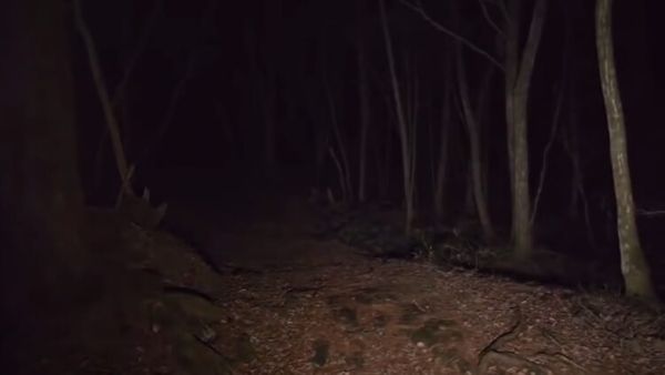 AFTER THE CORONATION