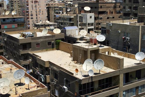 I HAVE AN ILLEGAL AVIARY