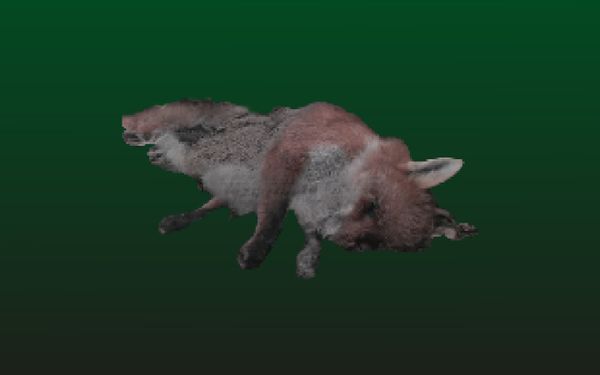 A COLONY OF MAGGOTS BUILDING A FOX THROUGH CAREFUL EFFORT